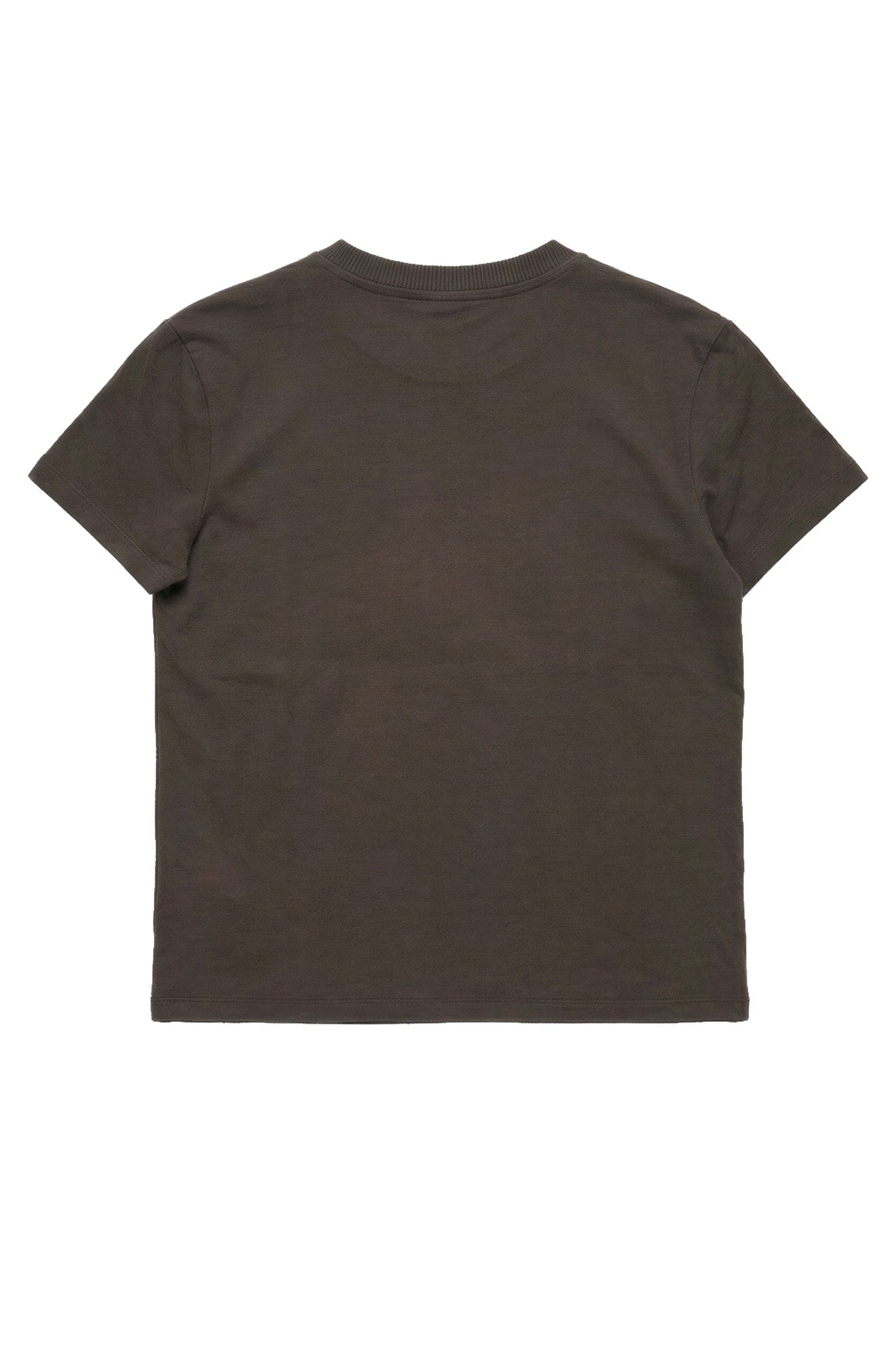FS26210530 BROWN