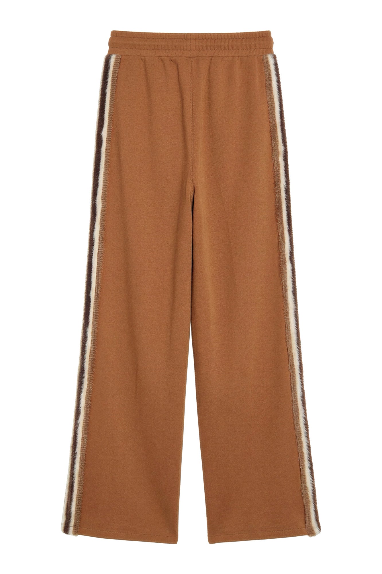 FS26230090 CAMEL